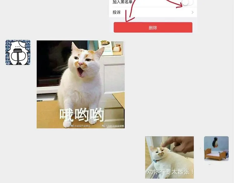 15 发烧 第89页