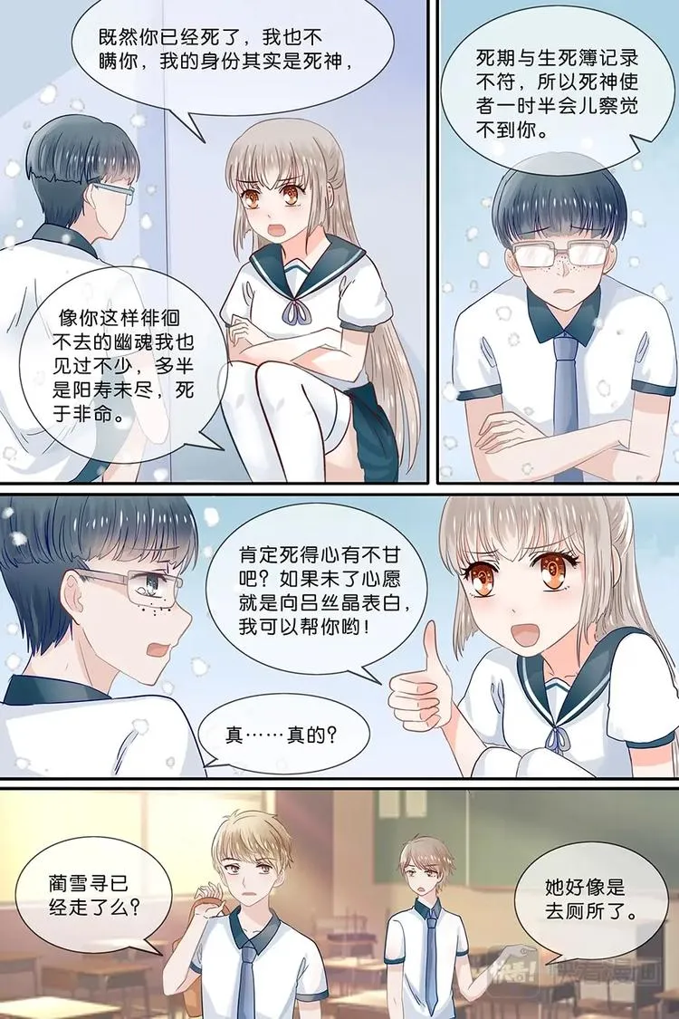 19关于野花的回忆 第5页