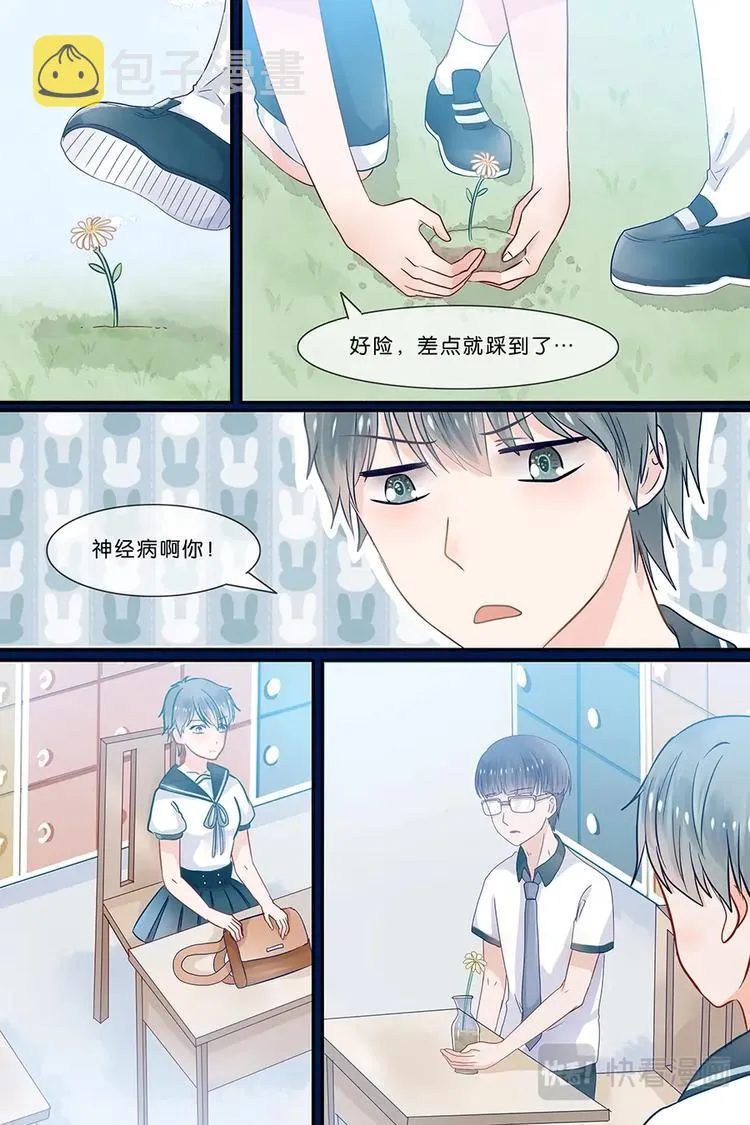 19关于野花的回忆 第8页