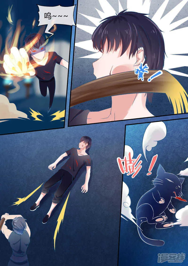 第47话 宠物不能超过俩 第1页