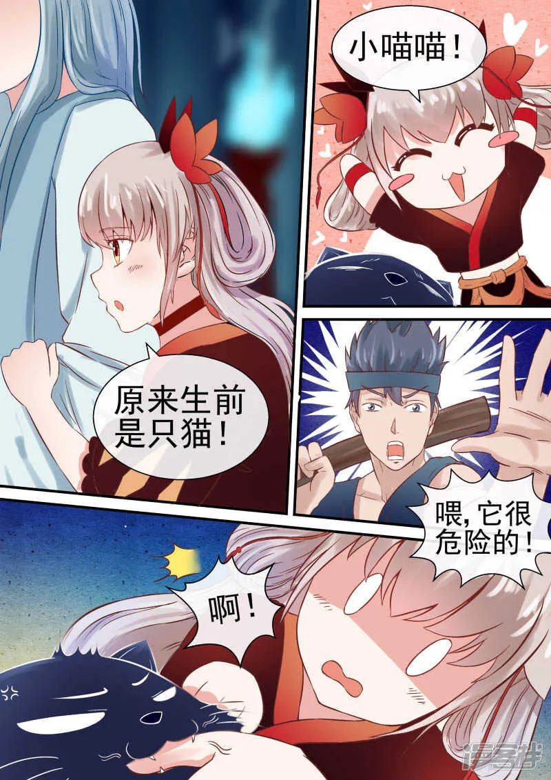 第47话 宠物不能超过俩 第2页