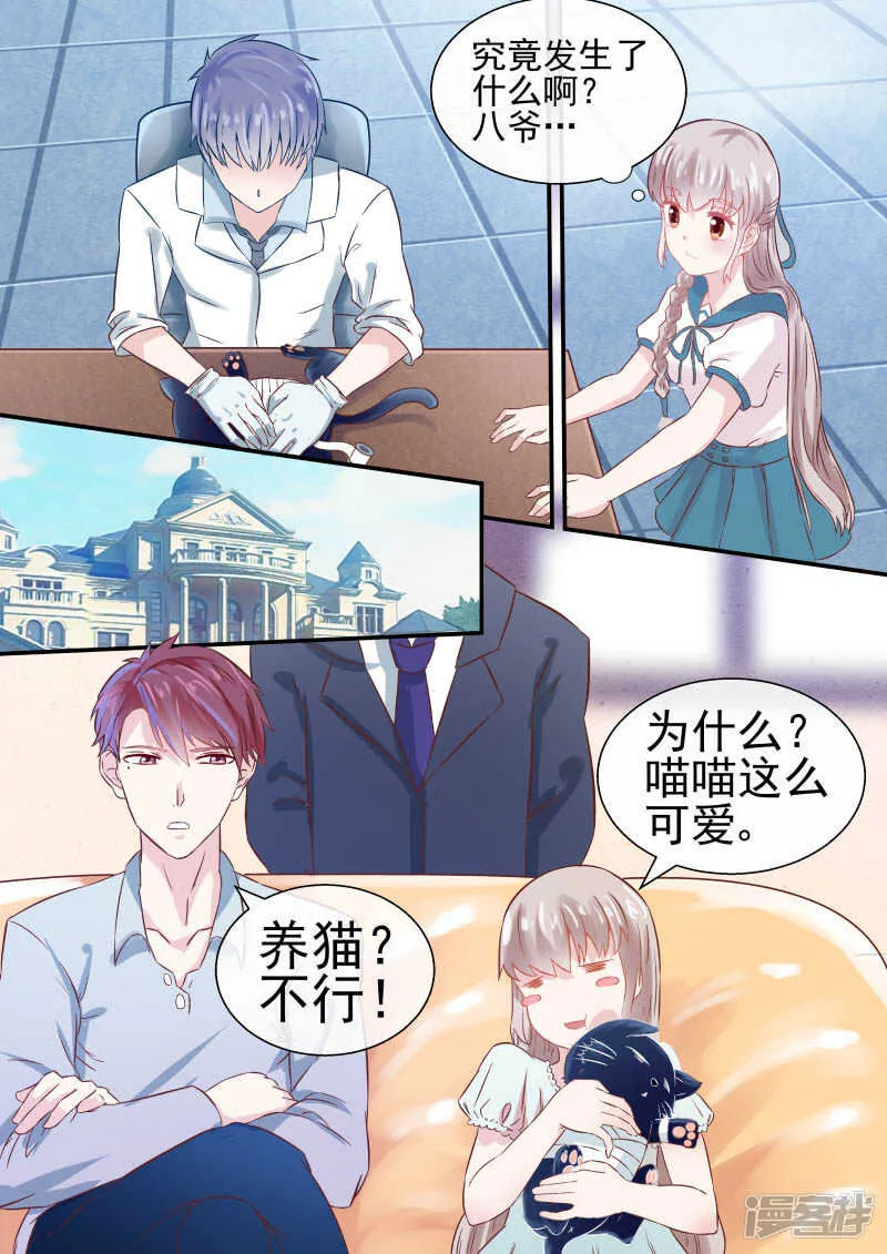 第47话 宠物不能超过俩 第7页