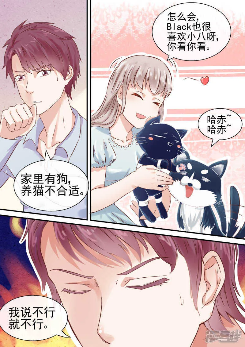 第47话 宠物不能超过俩 第8页