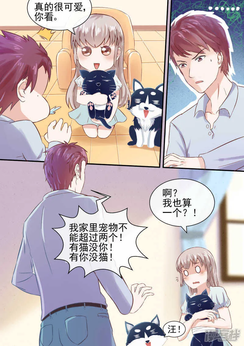 第47话 宠物不能超过俩 第9页