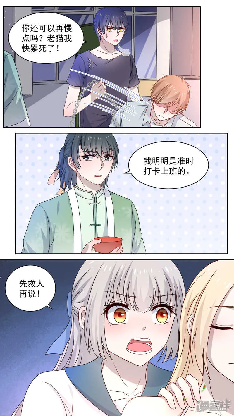 117一只行尸 第5页