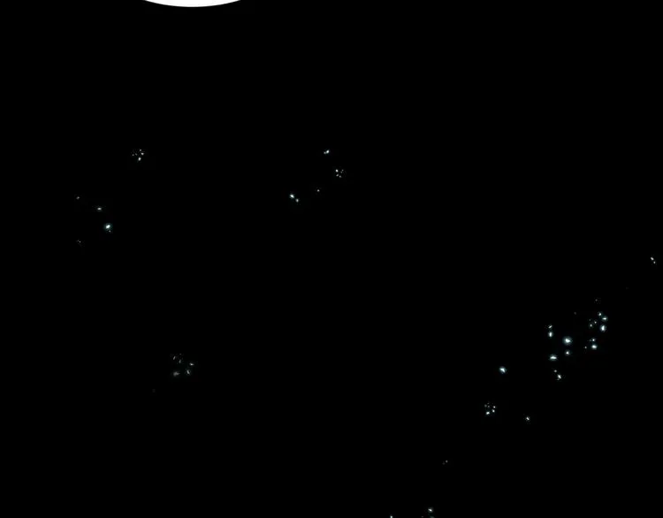 第13话 幻相 第63页