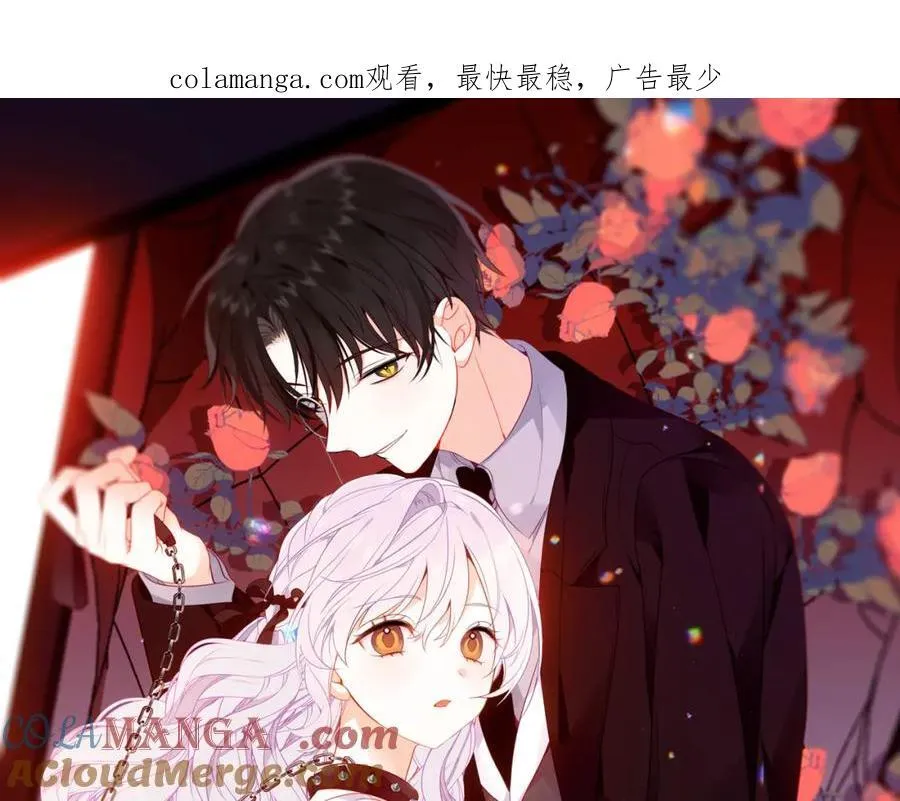 第26话 怎么可能不喜欢 第1页