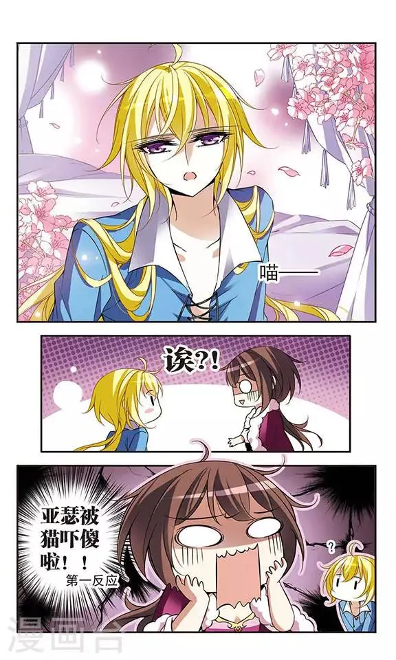 第74话 变身成猫的亚瑟 第2页