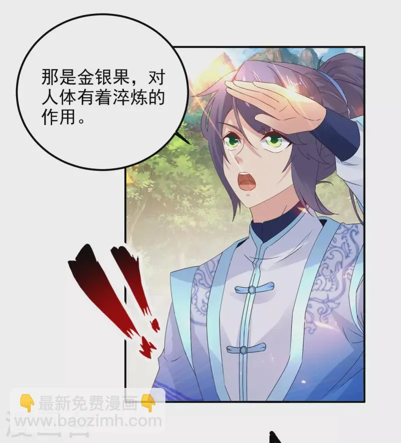 第222话金银树上金银果 第15页