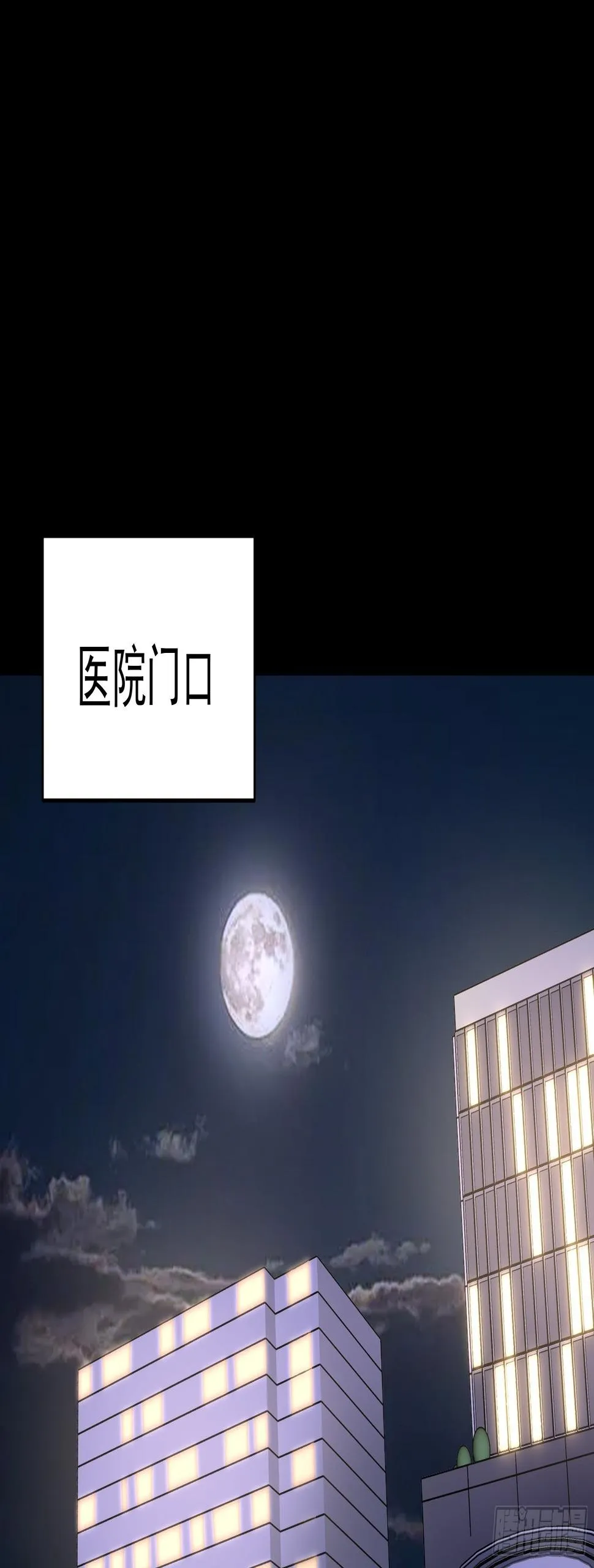 016总部，动物园 第2页