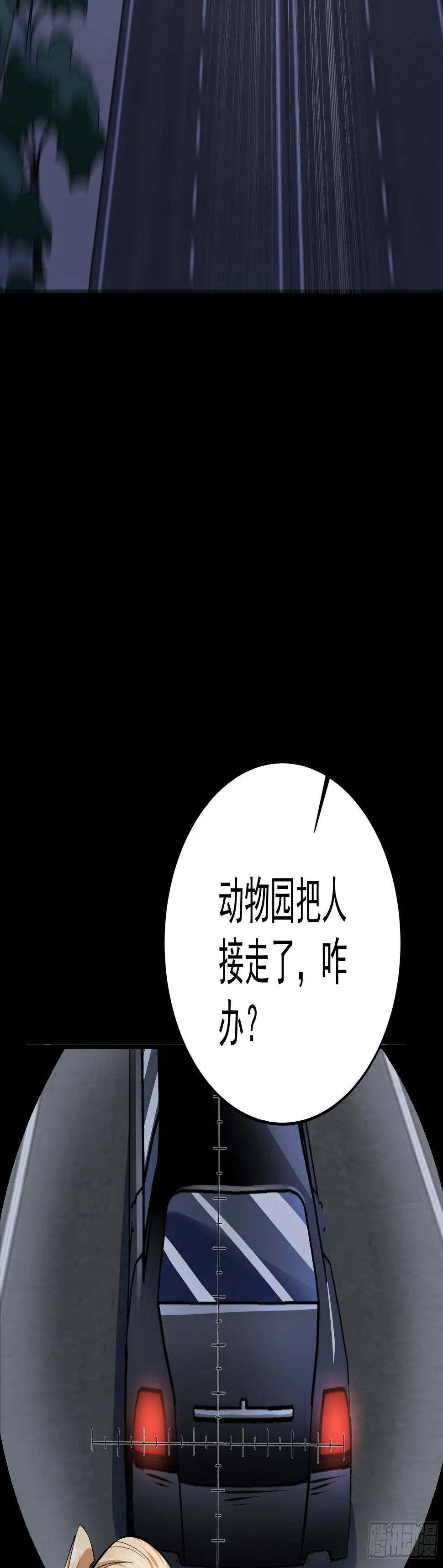 016总部，动物园 第11页