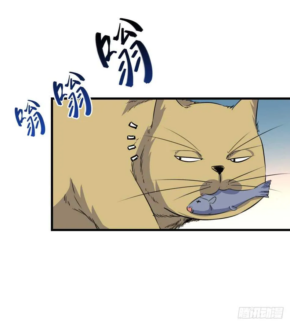 91 对决 第3页