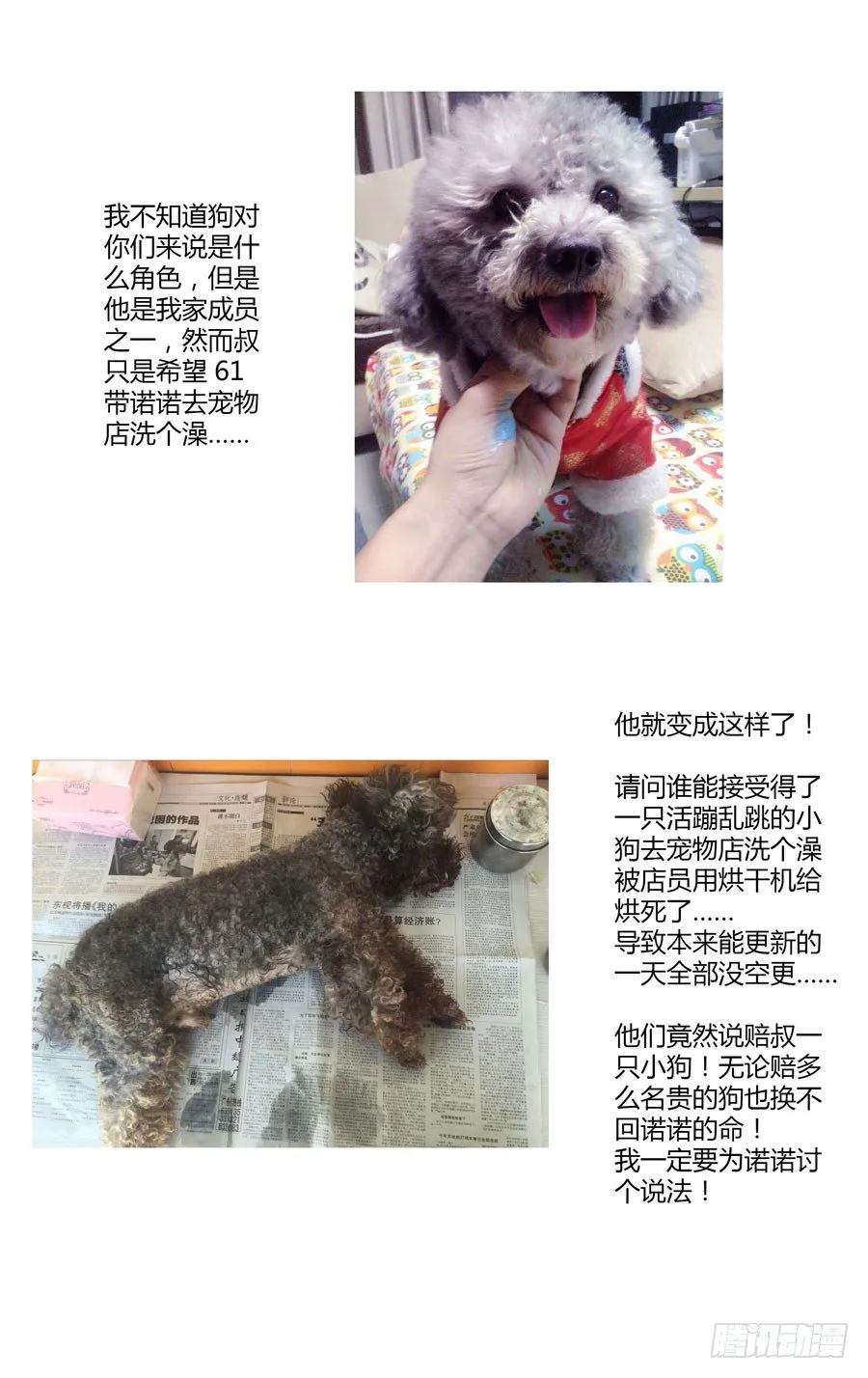 59.强敌来袭！ 第13页
