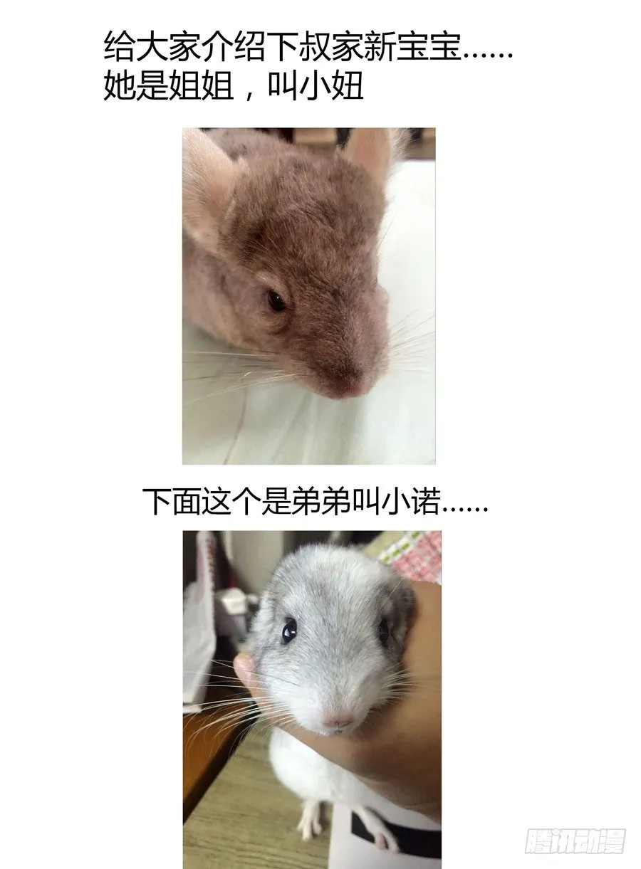 69.潜入开始！ 第12页