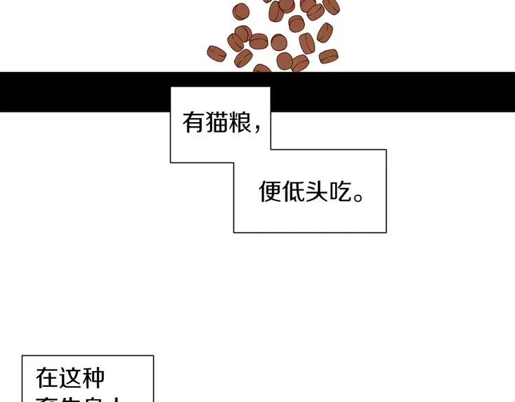 第4话 第一次橙子大战 第4页