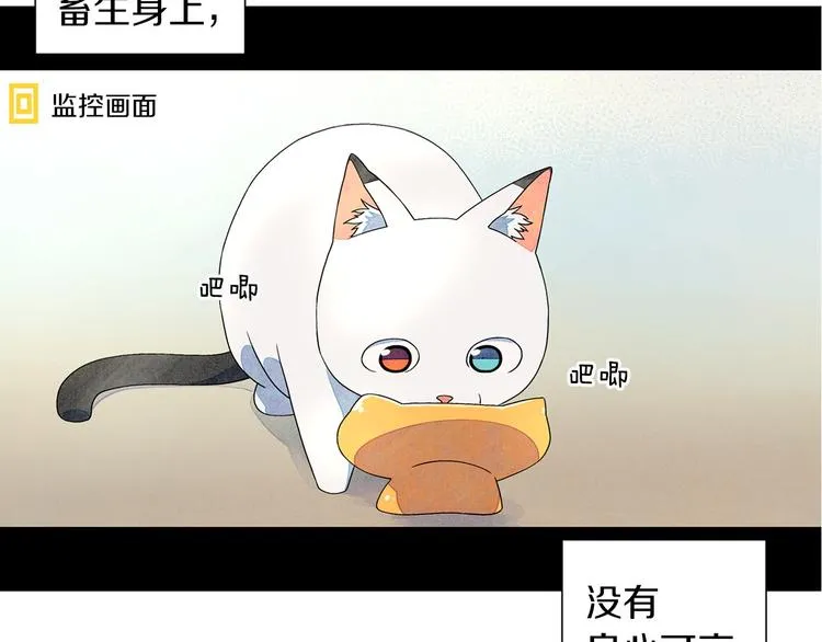 第4话 第一次橙子大战 第5页