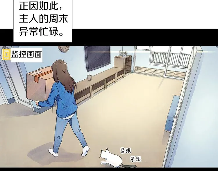 第4话 第一次橙子大战 第8页
