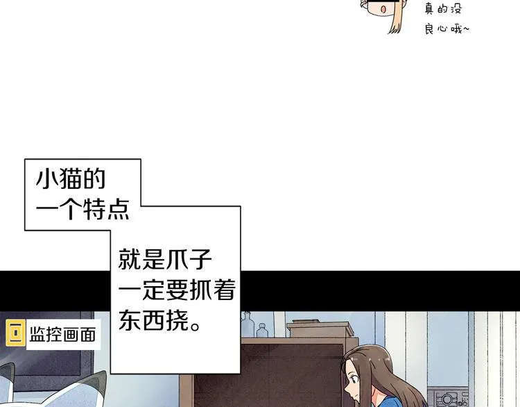 第4话 第一次橙子大战 第11页