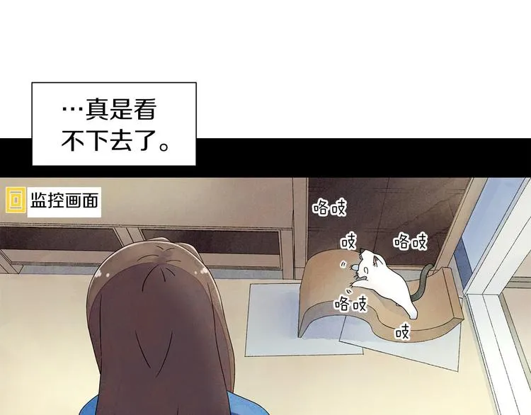 第4话 第一次橙子大战 第16页
