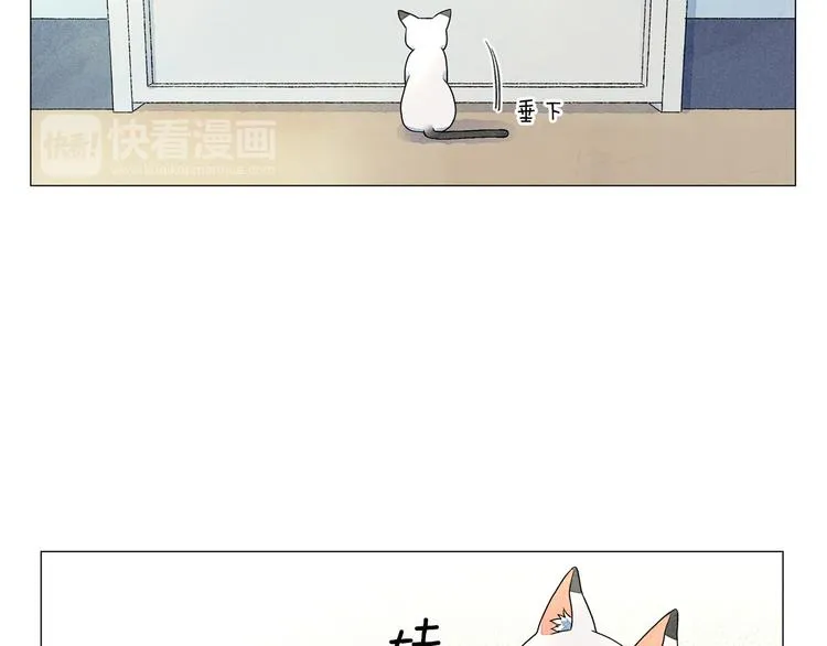 第4话 第一次橙子大战 第39页