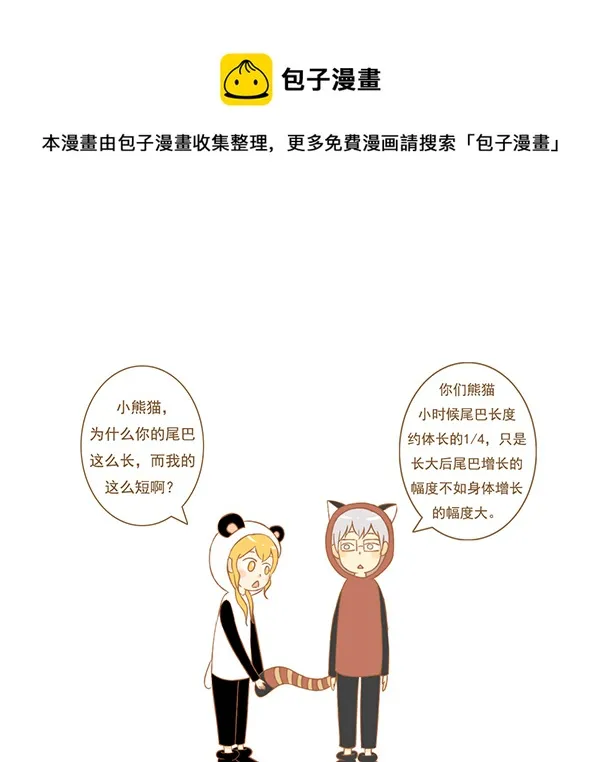 小熊猫 第1页