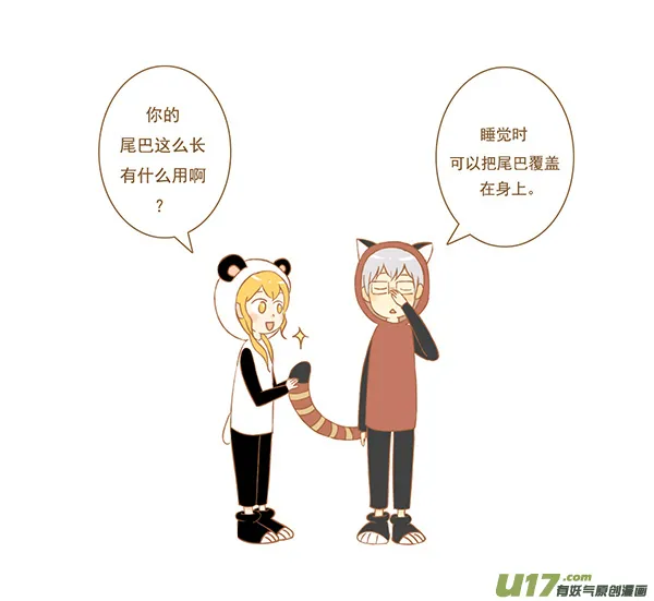 小熊猫 第2页