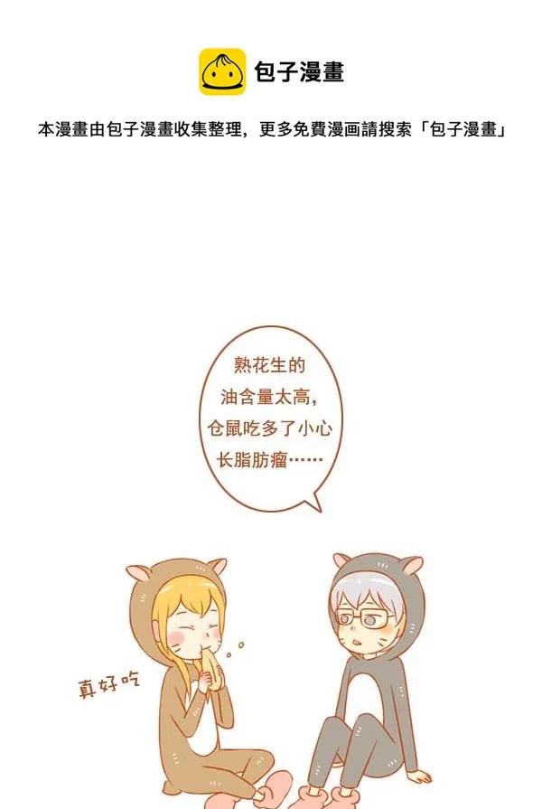 小仓鼠 第1页