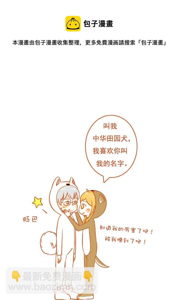 田园犬 第5页