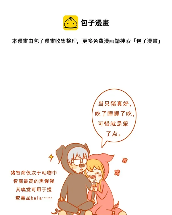 两只猪 第1页
