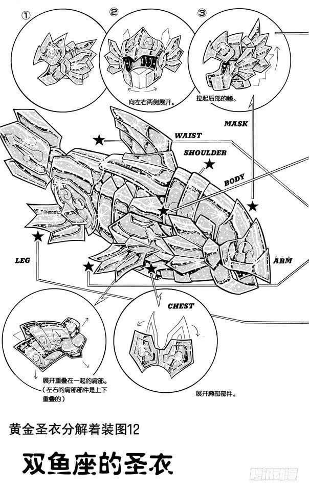 番外11 圣衣分解着装图 第2页
