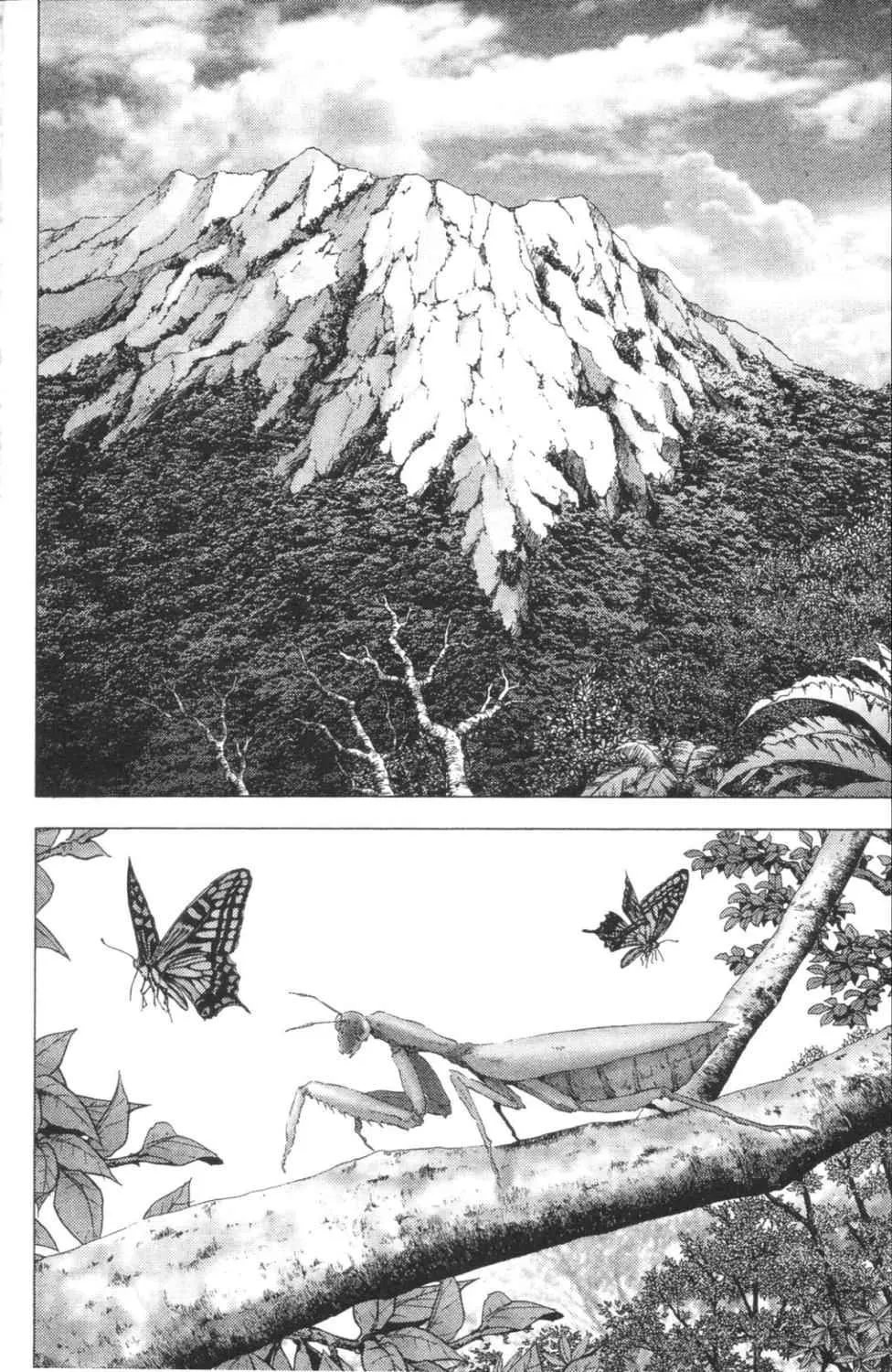 第3卷 第41页
