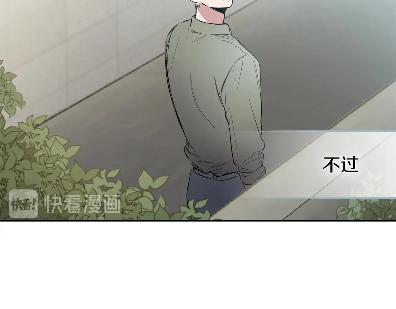 完结篇 因你完满 第17页