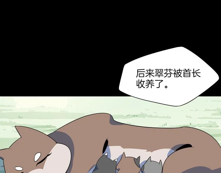 第43话 责任的背后是荣耀 第50页