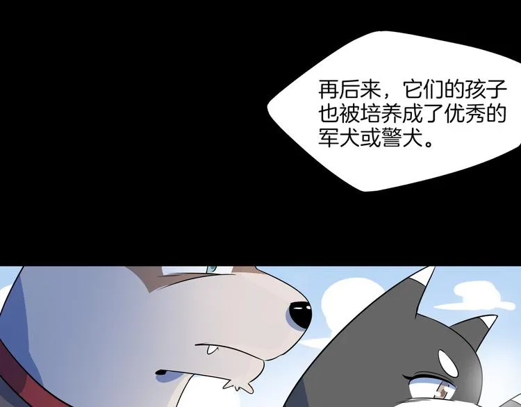 第43话 责任的背后是荣耀 第53页