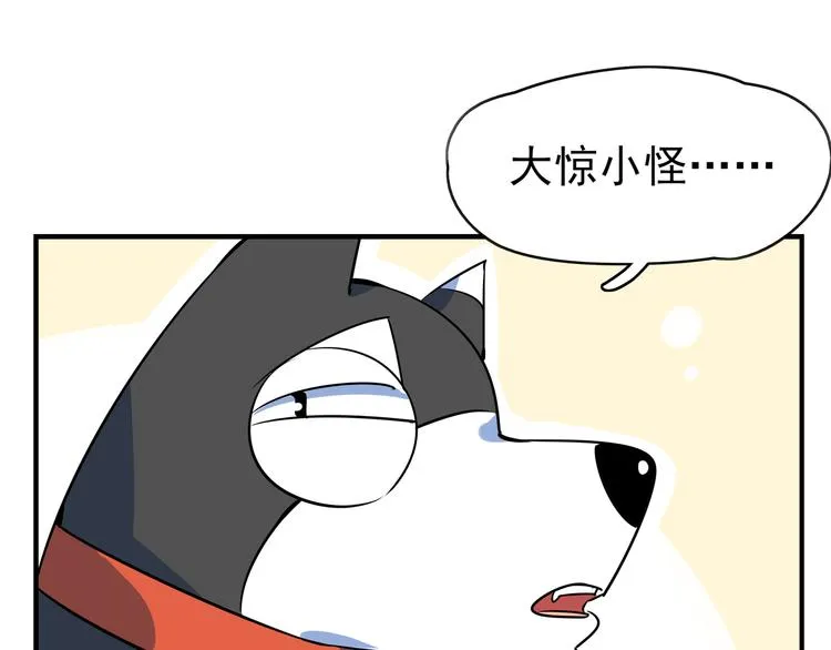 第40话 军犬往事 第15页