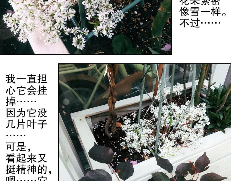 第88回 让自己开心有什么错? 第81页