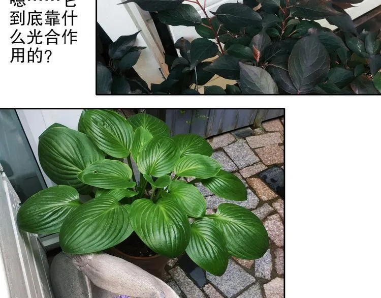 第88回 让自己开心有什么错? 第82页