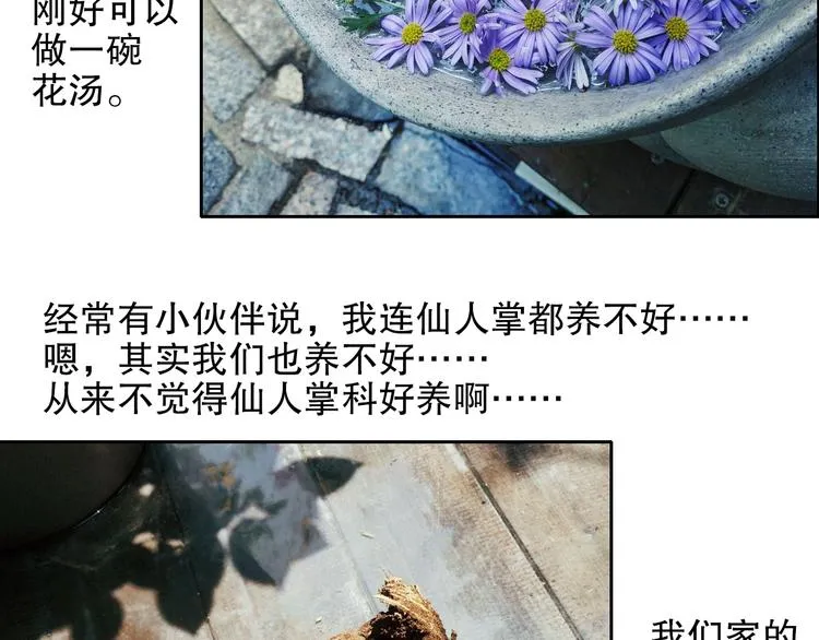 第88回 让自己开心有什么错? 第84页