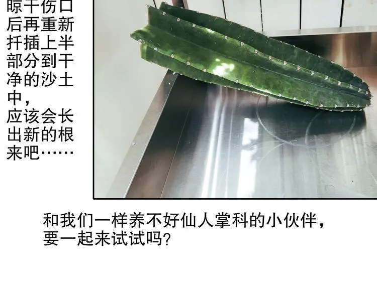 第88回 让自己开心有什么错? 第86页