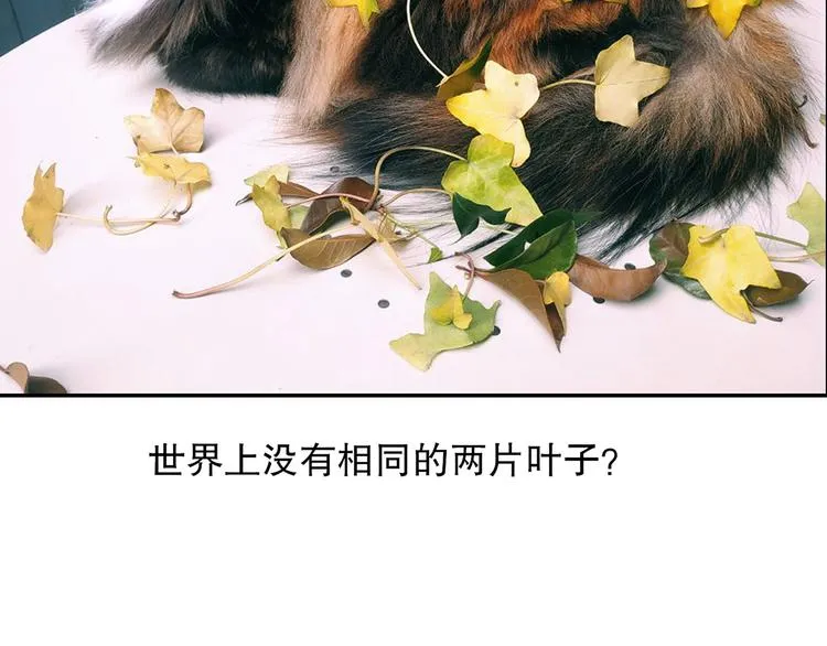 第86回 抑郁的福娃 第91页