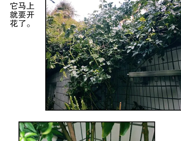 第86回 抑郁的福娃 第93页