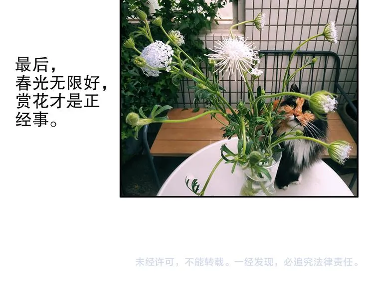 第86回 抑郁的福娃 第96页