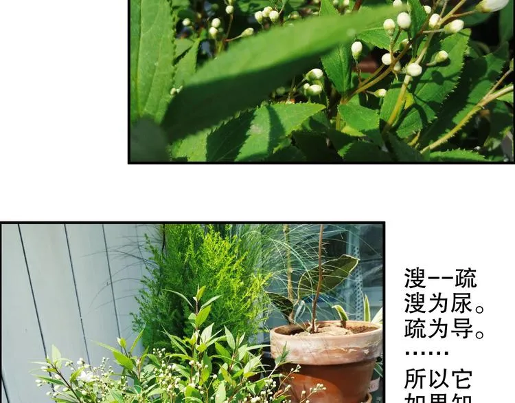 第84回 尴尬瞬间被撞见 第85页