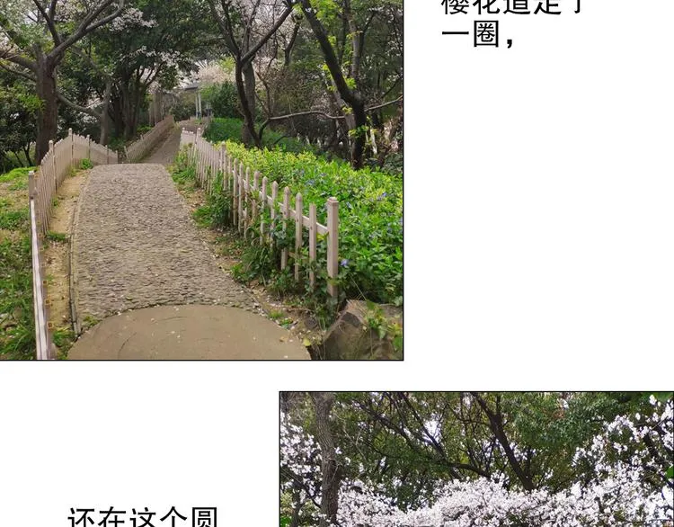 第83回 山神见小枣妈妈了 第76页