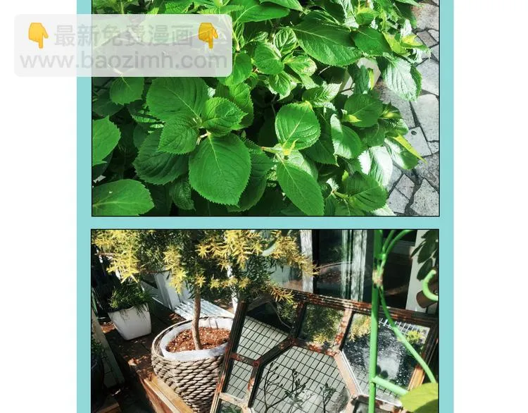 第83回 山神见小枣妈妈了 第80页