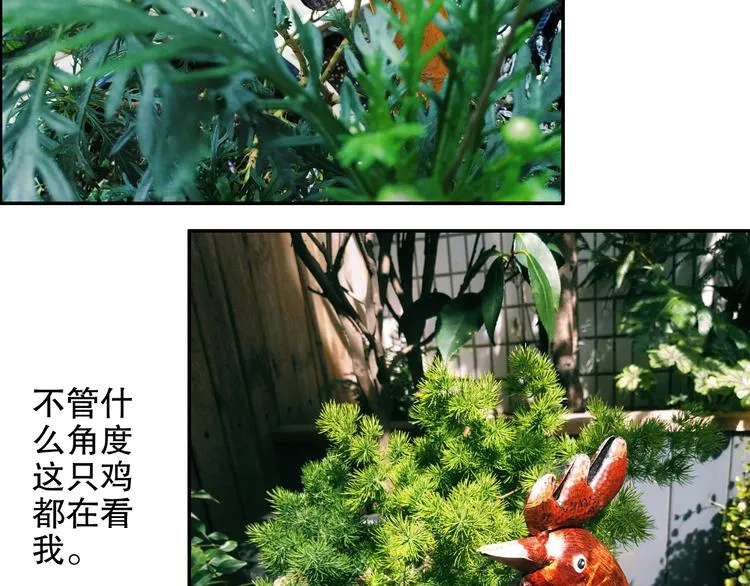 第82回 山神强行解开封印 第91页