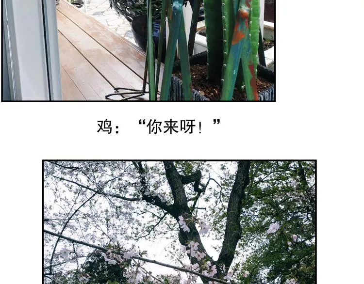 第82回 山神强行解开封印 第93页