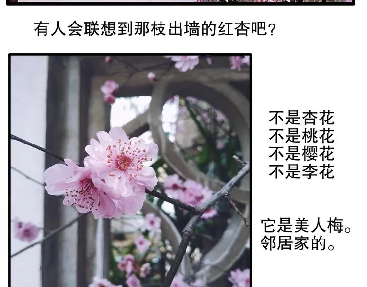 第81回 你年纪小以后再说 第68页