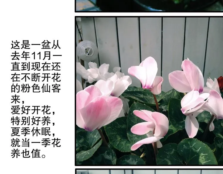 第81回 你年纪小以后再说 第71页
