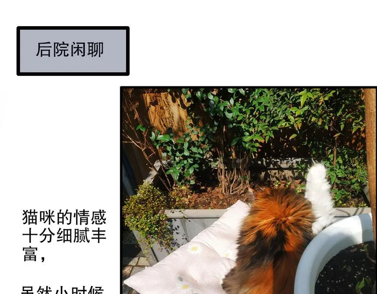 第80回 不同于凡间的恋爱 第68页